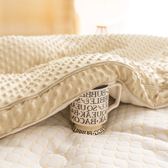 91家纺网 家纺一手货源 找家纺 换种生活 新款A类空气层大豆冬被系列 香槟色