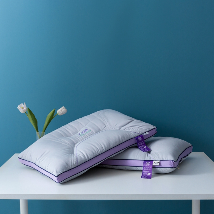 91家纺网 家纺一手货源 找家纺 拾光枕芯 2023新款闪净定型枕枕头枕芯 48*74cm/只 灰