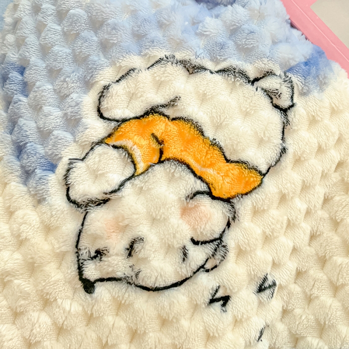 91家纺网 家纺一手货源 找家纺 澳梵家居 2023新款印花豆豆绒牛奶绒四件套 爱的抱抱