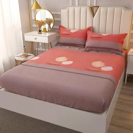 晶缦家纺 2023新款典雅系全棉活性磨毛多规格单品床笠 漫步时光豆沙