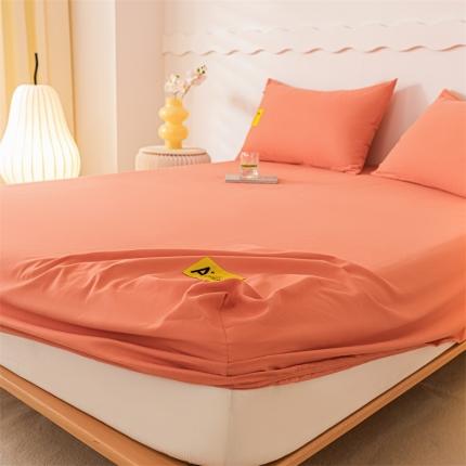 蓝米卡夫 2024秋冬全棉加厚磨毛A+单床笠三件套 A+南瓜桔CL