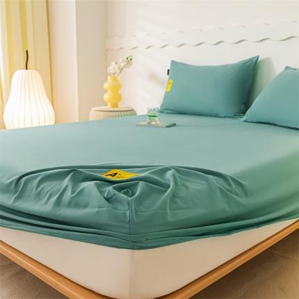 蓝米卡夫 2024秋冬全棉加厚磨毛A+单床笠三件套 A+叶青绿CL