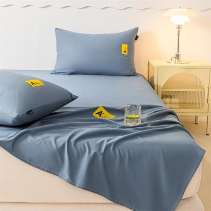 91家纺网 家纺一手货源 找家纺 蓝米卡夫 2024秋冬全棉加厚磨毛A+单床单三件套 A+宾利蓝CD