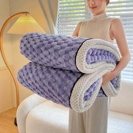 爆款A类金龟绒单层毛毯贝贝绒多功能双面绒盖毯 金龟绒-青紫