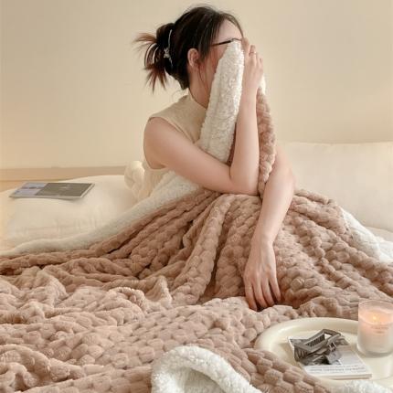 91家纺网 家纺一手货源 找家纺 (总) 欧邦 新款A类金龟绒提花豆豆绒毯子羊羔绒双层毛毯