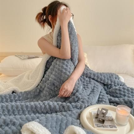 91家纺网 家纺一手货源 找家纺 (总) 欧邦 新款A类金龟绒提花豆豆绒毯子羊羔绒双层毛毯