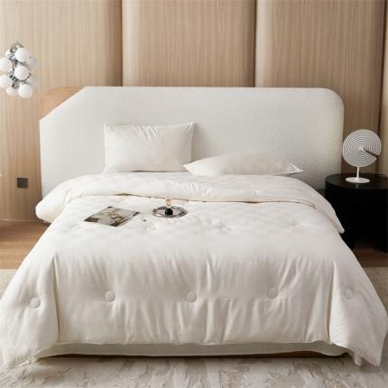 91家纺网 家纺一手货源 找家纺 总头等舱 2023新款润棉贡缎大提花A类55大豆抗菌秋冬被（含子母被）