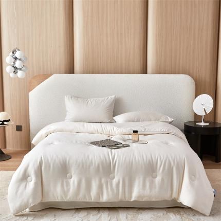 91家纺网 家纺一手货源 找家纺 总头等舱 2023新款润棉贡缎大提花A类55大豆抗菌秋冬被（含子母被）