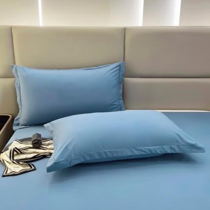 91家纺网 家纺一手货源 找家纺 名优 2024新款13376铂金新疆长绒棉系列-单枕套 宾利蓝