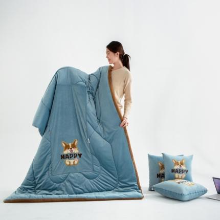 91家纺网 家纺一手货源 找家纺 雷娜 2023新款加厚泰迪绒哈士奇抱枕被 湖绿