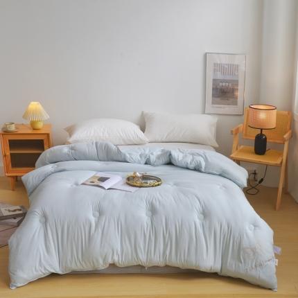 91家纺网 家纺一手货源 找家纺 （总）德芙 2023新款暖绒小提花冬被春秋被被子被芯保暖透气爆款