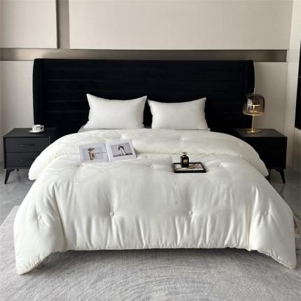 91家纺网 家纺一手货源 找家纺 （总）朵美 【DM】2023新款蚕丝蛋白秋冬被-斐丽