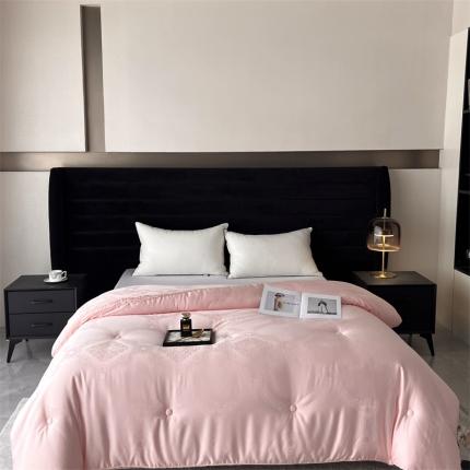 91家纺网 家纺一手货源 找家纺 （总）朵美 【DM】2023新款蚕丝蛋白秋冬被-斐丽