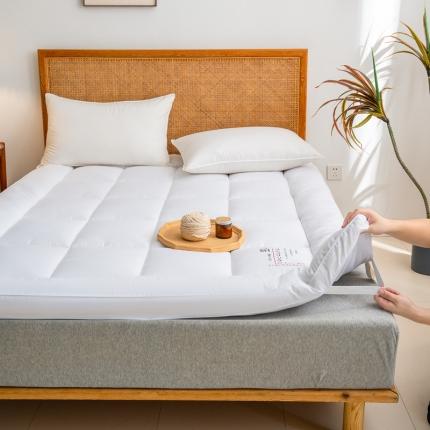 魅图 酒店床垫软垫家用榻榻米垫子床褥子地铺睡垫学生宿舍单人垫被 雪山白