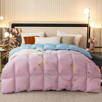 91家纺网 家纺一手货源 找家纺 总绒研 2025新款热款羽绒被鹅绒被被子被芯春秋被冬被被子被芯-渐变色