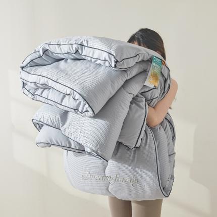 91家纺网 家纺一手货源 找家纺 花言狐语 2025新款AB版泡泡纱刺绣春秋被被子被芯 泡泡纱淡雅灰