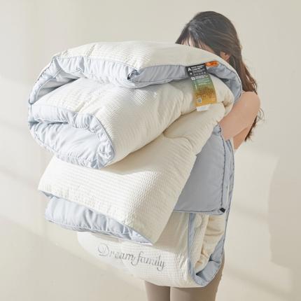 花言狐语 2025新款AB版泡泡纱刺绣春秋被被子被芯 泡泡纱AB 珍珠白+淡雅灰