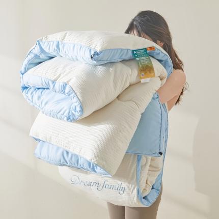 花言狐语 2025新款AB版泡泡纱刺绣春秋被被子被芯 泡泡纱AB 珍珠白+天空蓝