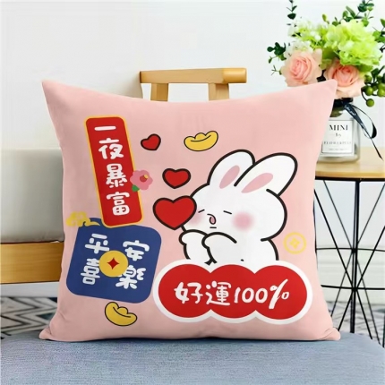 91家纺网 家纺一手货源 找家纺 （总）拾光枕芯 2023新款跑量抱枕直播爆款赠品送人（来样定做）