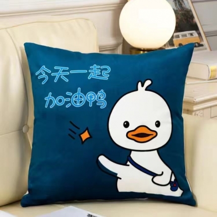 91家纺网 家纺一手货源 找家纺 （总）拾光枕芯 2023新款跑量抱枕直播爆款赠品送人（来样定做）