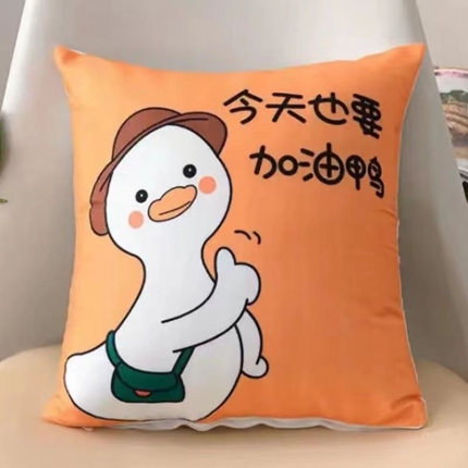 91家纺网 家纺一手货源 找家纺 （总）拾光枕芯 2023新款跑量抱枕直播赠品礼品抱枕（纯跑量花型多）