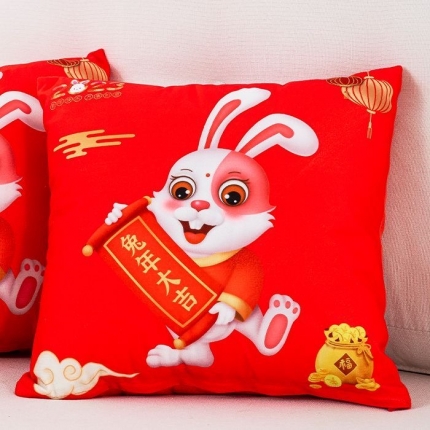 91家纺网 家纺一手货源 找家纺 （总）拾光枕芯 2023新款跑量抱枕直播赠品礼品抱枕（纯跑量花型多）