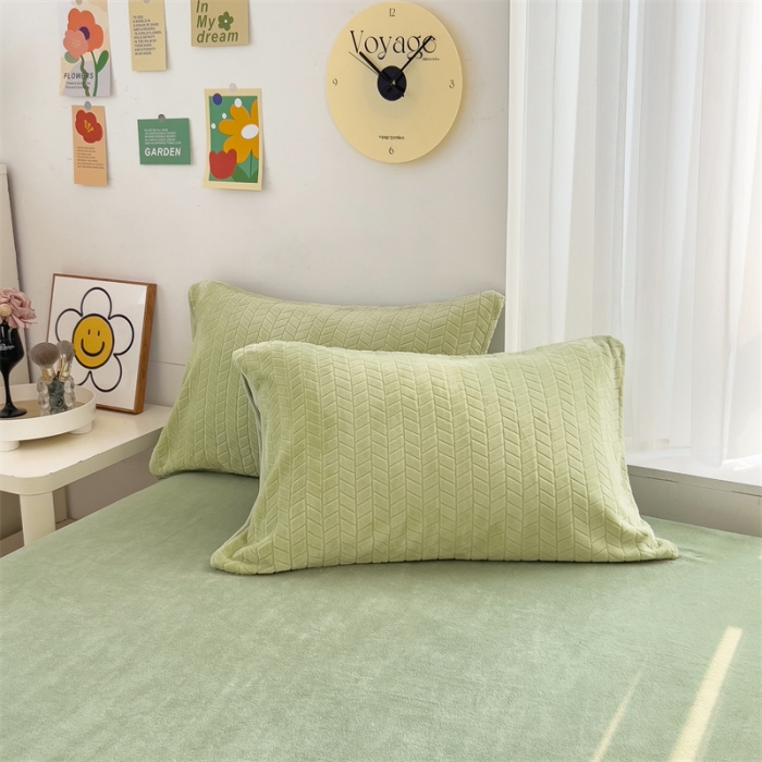 91家纺网 家纺一手货源 找家纺 全季家居 2023新款小清新A类高克重加厚印花牛奶绒被套单件 果绿