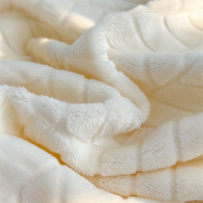 91家纺网 家纺一手货源 找家纺 全季家居 2023新款小清新A类高克重加厚印花牛奶绒被套单件 米白+果绿