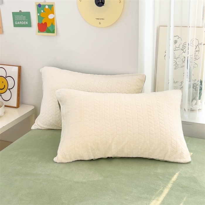 91家纺网 家纺一手货源 找家纺 全季家居 2023新款小清新A类高克重加厚印花牛奶绒被套单件 米白+果绿