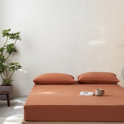 简纯主义 2025新款100支纯色磨毛单品床笠 炭烤栗子