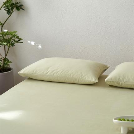 简纯主义 2025新款100支纯色磨毛单品枕套 梵克绿