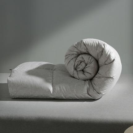 91家纺网 家纺一手货源 找家纺 （总）俏企鹅 2025新款女王款铂金丝鹅绒被