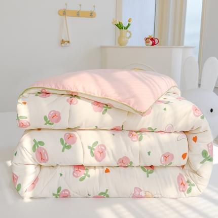 91家纺网 家纺一手货源 找家纺 (总) 蓝冰 2024新款水洗双层纱印花春秋被学生被冬被子被芯