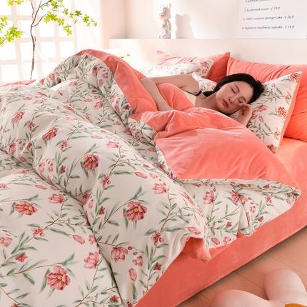 （总）圣楚 2024新款小竺棉加绒四件套