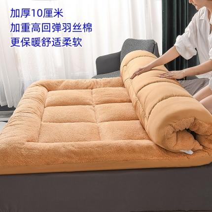 (总)无人退货-2023典伦加厚10厘米羊羔绒床垫学生宿舍床垫子