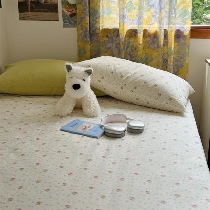 桃喜 2024新款韩系ins博主风纯色碎花混搭40s水洗棉单床单 绿茵