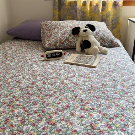 桃喜 2024新款韩系ins博主风纯色碎花混搭40s水洗棉单床单 紫藤