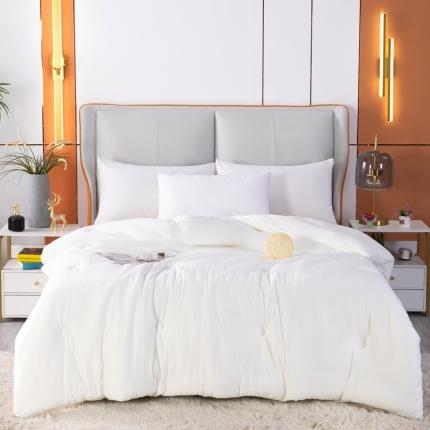 91家纺网 家纺一手货源 找家纺 天瑜家纺新款A类牛奶丝针织棉暖糯冬被春秋被被芯被子 白色