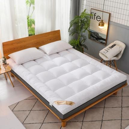 91家纺网 家纺一手货源 找家纺 （总）预言家纺2024新款立体磨毛羽丝绒床垫褥子多功能软垫