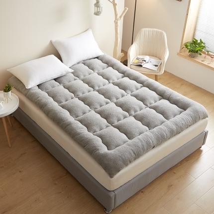 91家纺网 家纺一手货源 找家纺 预言家纺2024新款立体磨毛羽丝绒床垫褥子多功能软垫 浅灰色