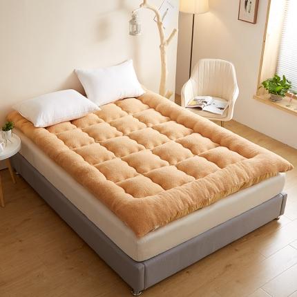 91家纺网 家纺一手货源 找家纺 预言家纺2024新款立体磨毛羽丝绒床垫褥子多功能软垫 驼色