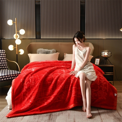 91家纺网 家纺一手货源 找家纺 （总）宜派家纺 2025新款双层拉舍尔毛毯云毯素纯色双面绒加绒加厚冬季