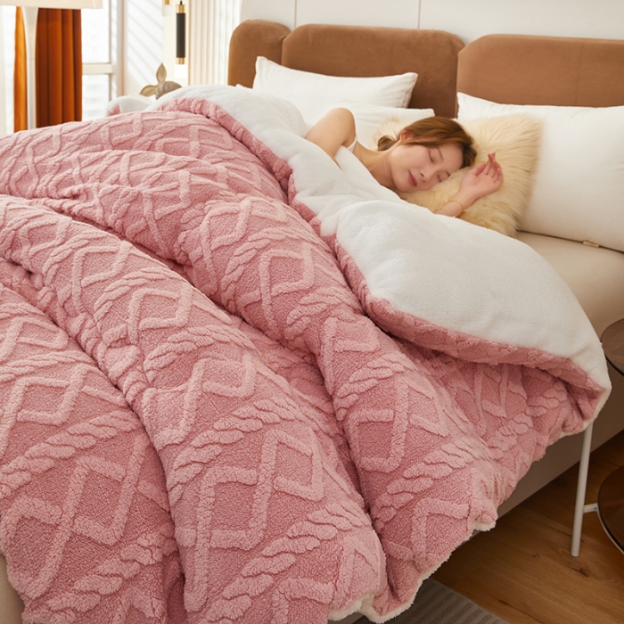 91家纺网 家纺一手货源 找家纺 （总）牛魔王家居 2023新款加厚塔芙绒冬被牛奶绒羊羔绒被子北极绒被芯