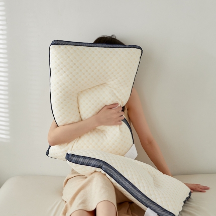 （总）2024新款大豆纤维立体水立方按摩枕头枕芯 SPA护颈低枕芯羽丝枕头