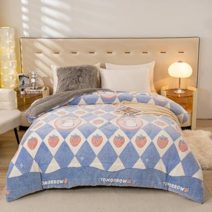 91家纺网 家纺一手货源 找家纺 （总）2024新款雪花绒羊羔绒春秋被冬被被芯