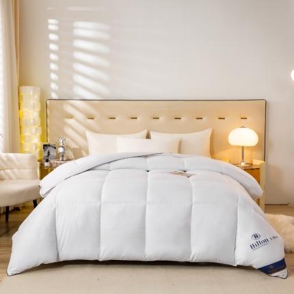 91家纺网 家纺一手货源 找家纺 （总）2024新款雪花绒羊羔绒春秋被冬被被芯