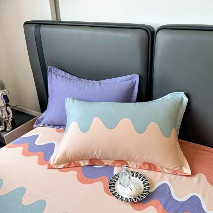 91家纺网 家纺一手货源 找家纺 晶缦家纺 2023新款风尚系全棉生态磨毛多规格单品枕套 青春派