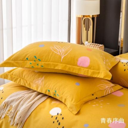 91家纺网 家纺一手货源 找家纺 晶缦家纺 2023新款风尚系全棉生态磨毛多规格单品枕套 青春序曲