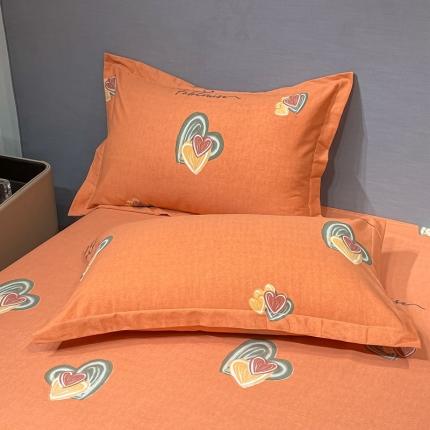 晶缦家纺 2023新款风尚系全棉生态磨毛多规格单品枕套 童心