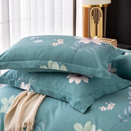 晶缦家纺 2023新款风尚系全棉生态磨毛多规格单品枕套 雅漾